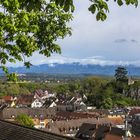 Blick zum Schwarzwald