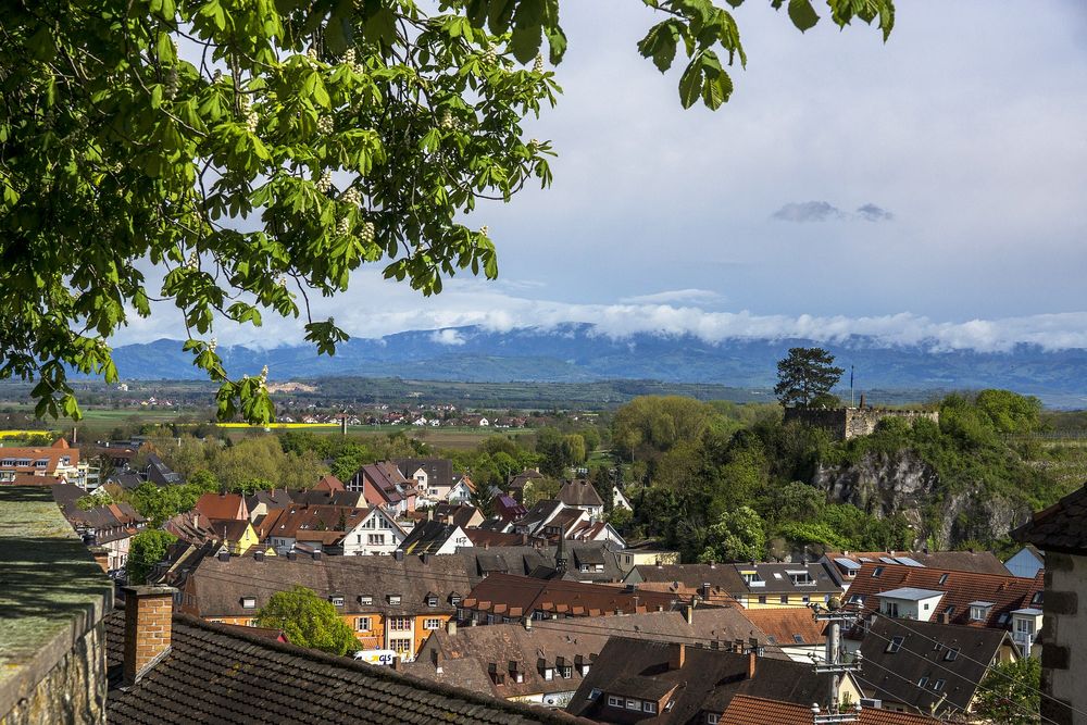 Blick zum Schwarzwald