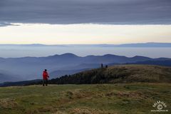 Blick zum Schwarzwald