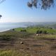 Blick zum See Genezareth