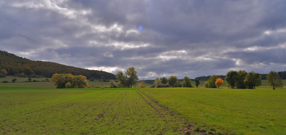 Blick zum See (vista al lago)