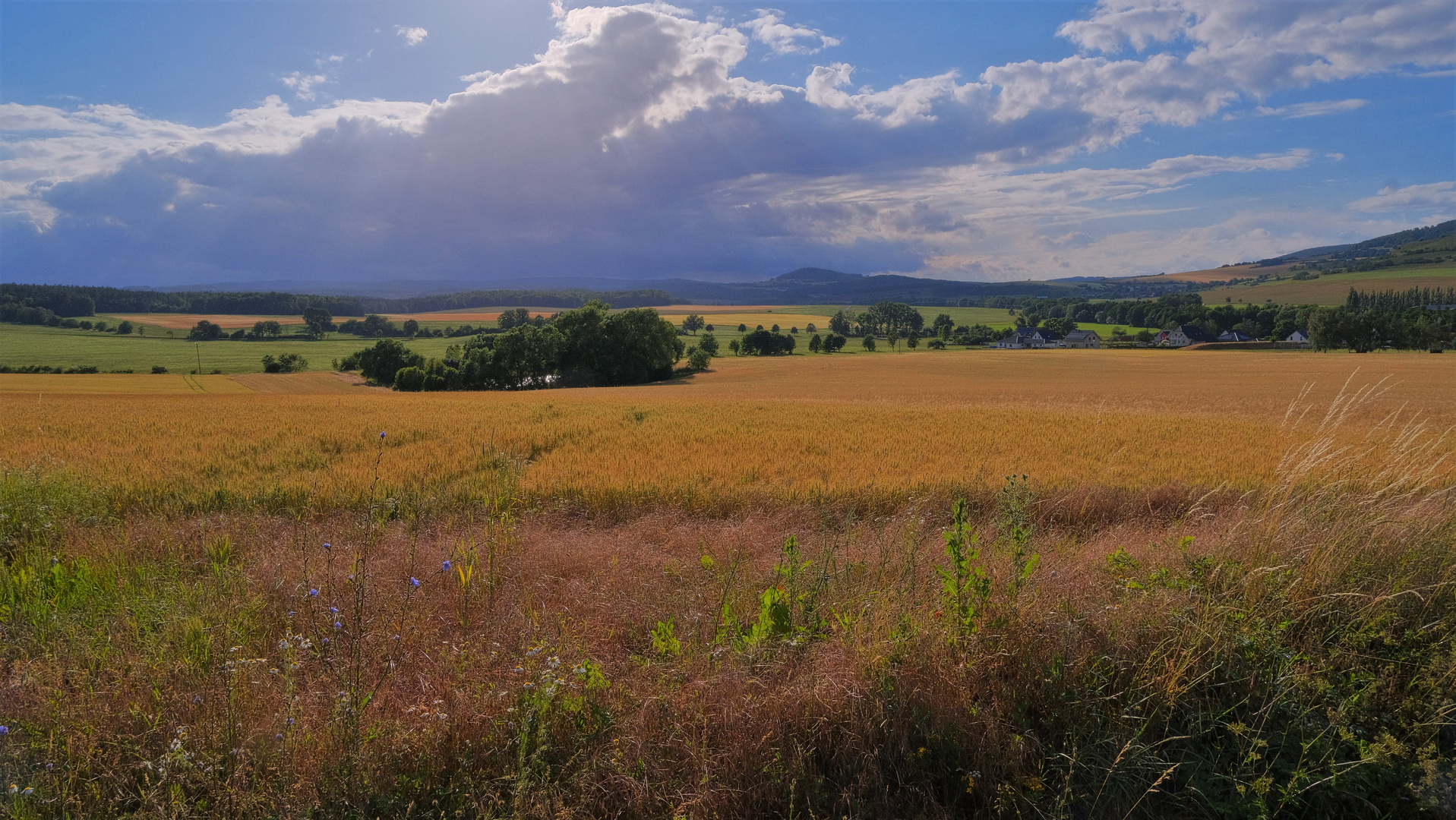 Blick zum See (vista al lago)