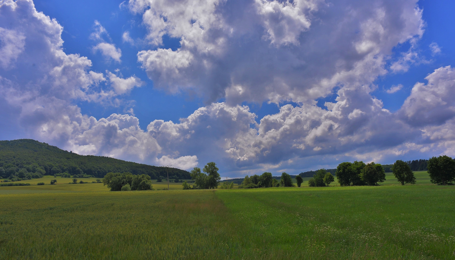 Blick zum See (vista al lago)