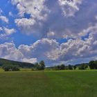 Blick zum See (vista al lago)