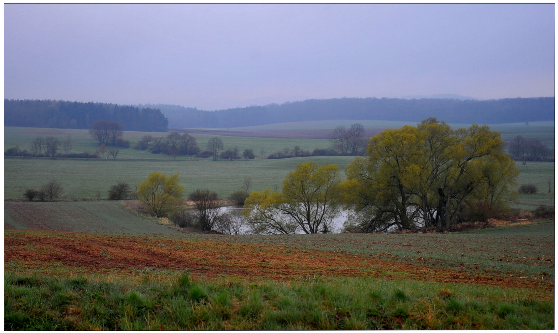 Blick zum See (vista el lago)