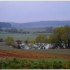 Blick zum See (vista el lago)