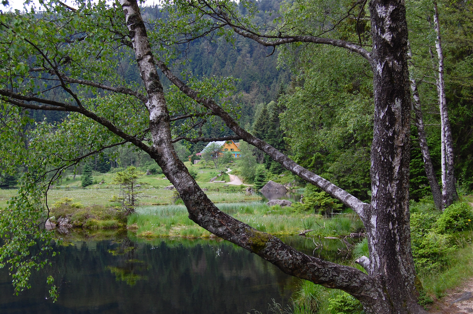 Blick zum Seehäusel…