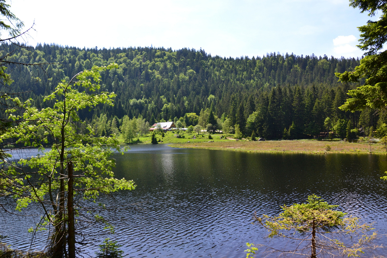 Blick zum Seehäusl…