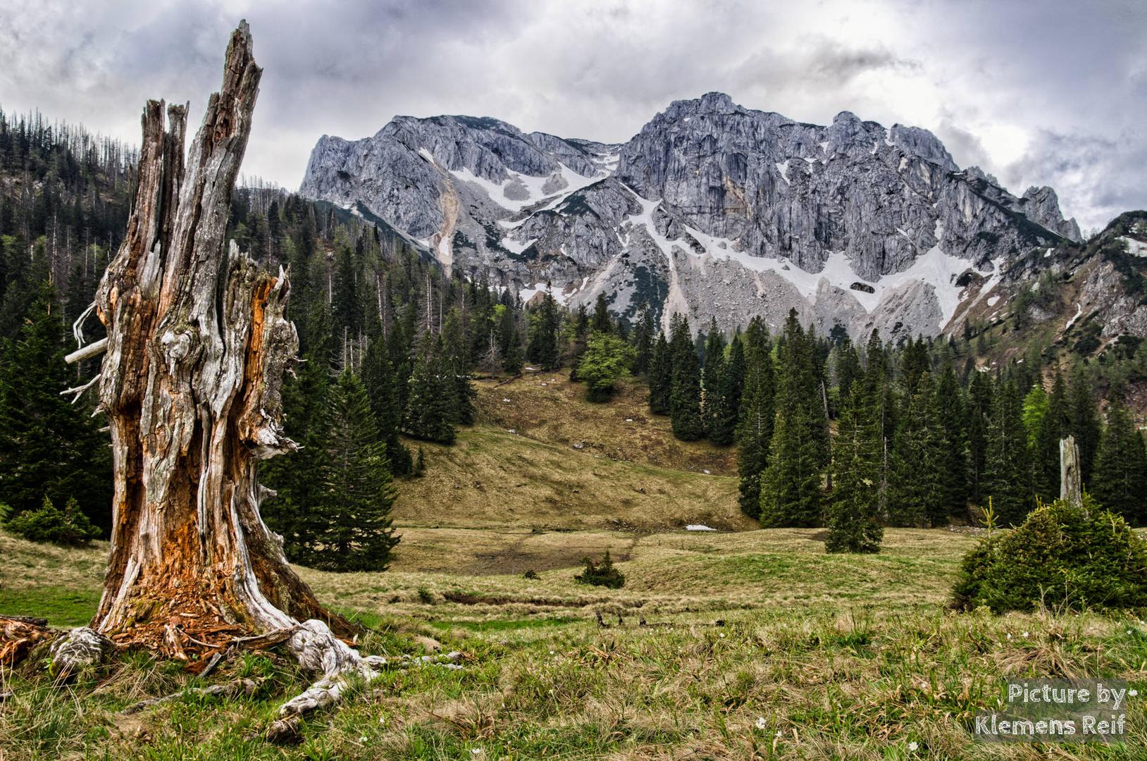 Blick zum Seekopf