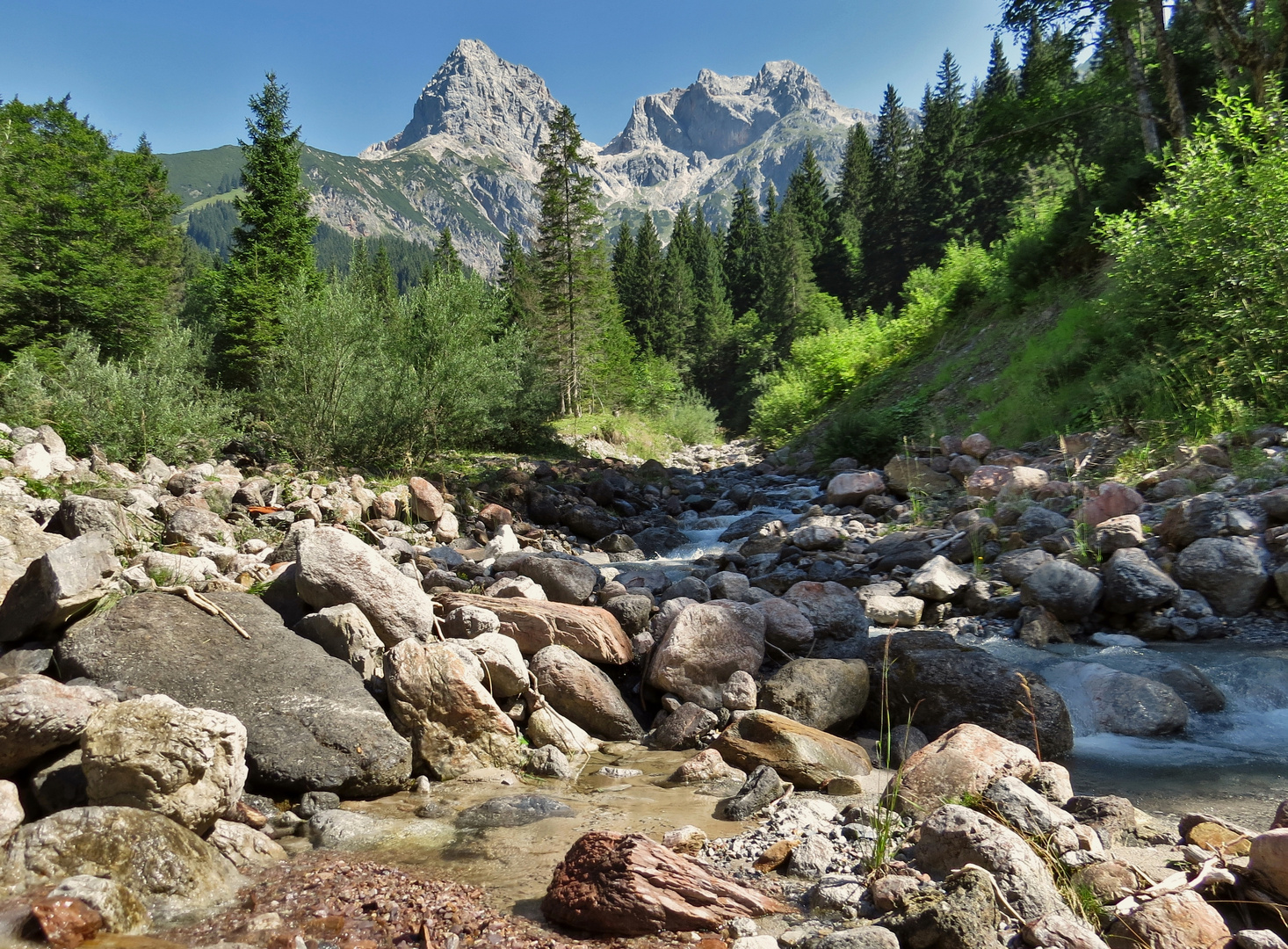 Blick zum Selbhorn