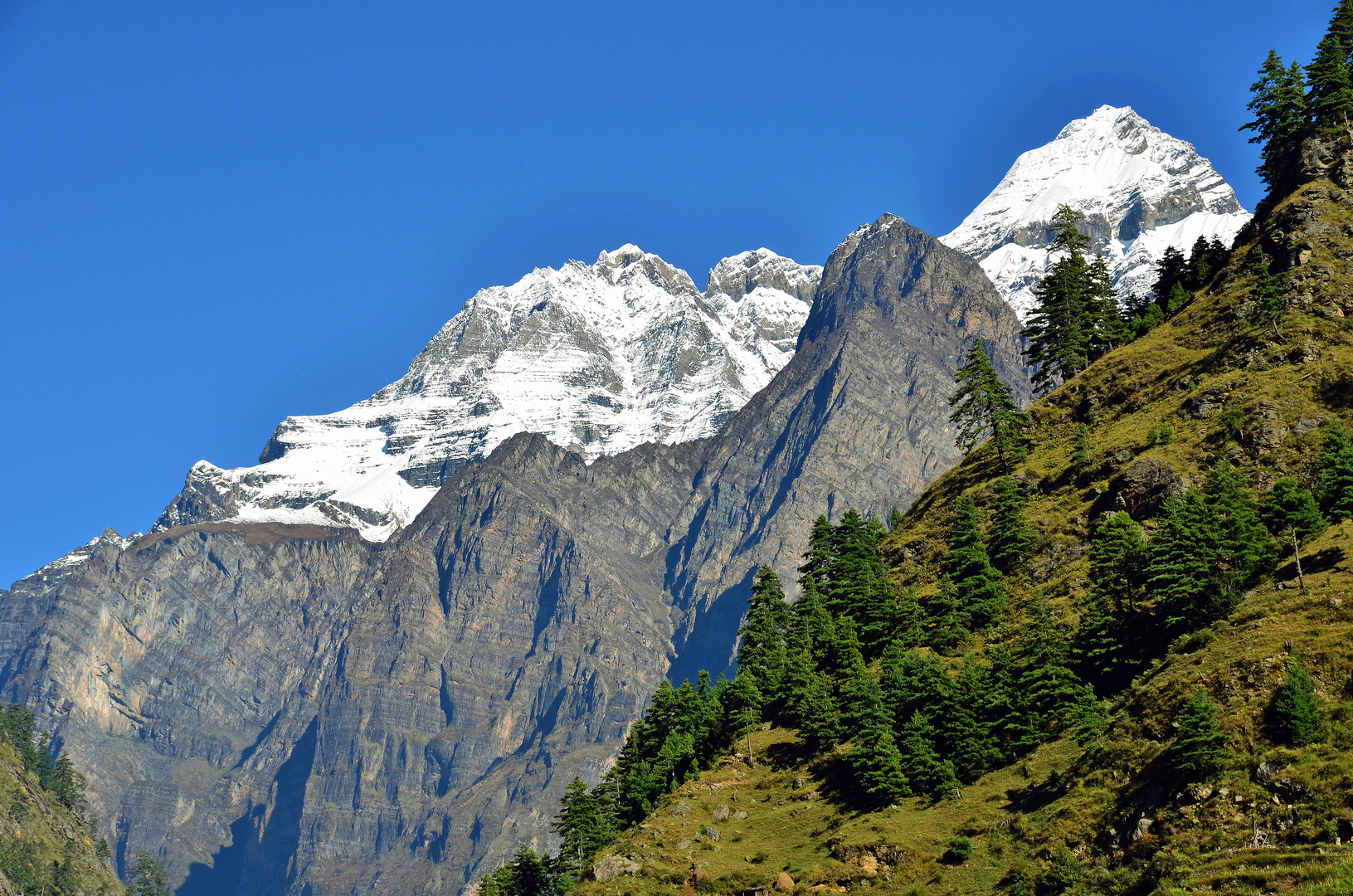Blick zum Shingri Himal (7187 m)