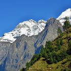 Blick zum Shingri Himal (7187 m)