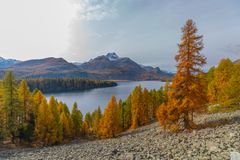 Blick zum Silsersee