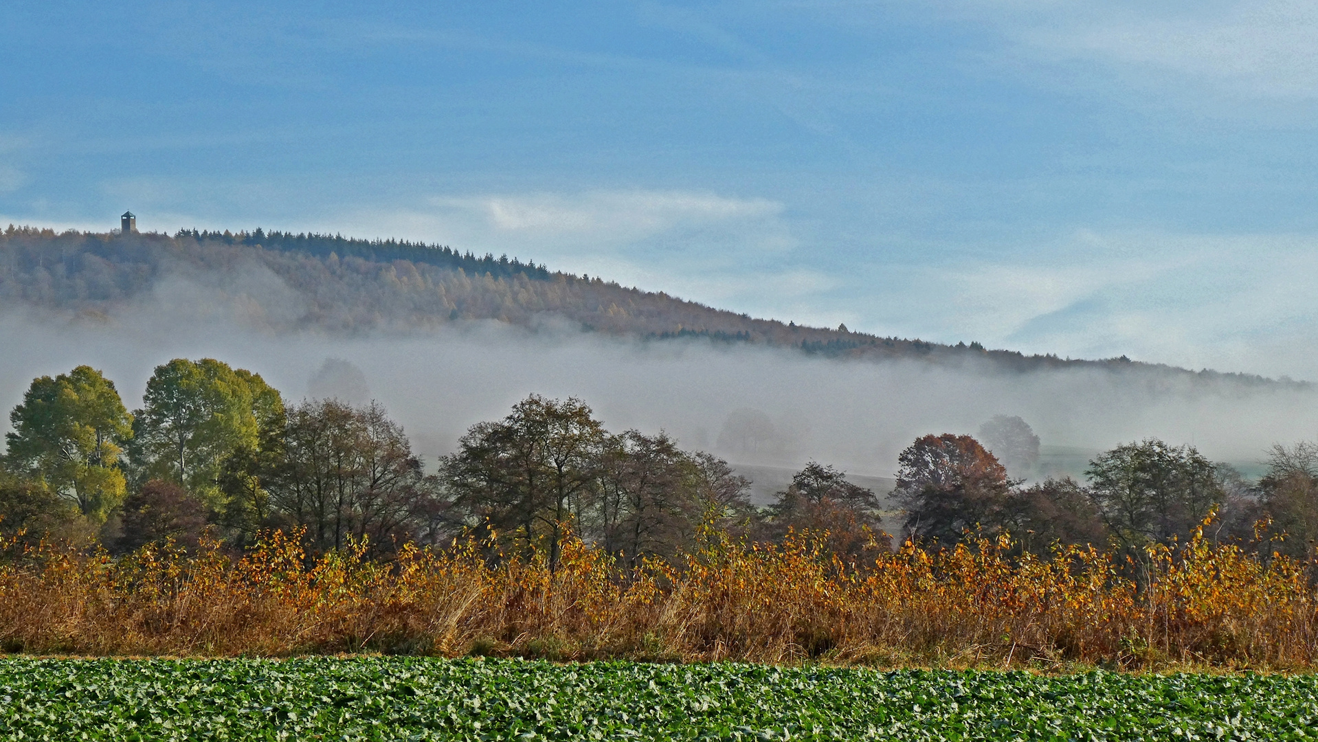 Blick zum Sollingturm