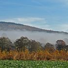 Blick zum Sollingturm