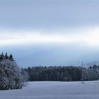 Blick zum sonnenbeschienen Haidberg wo die Magnetnadel "verrückt"spielt