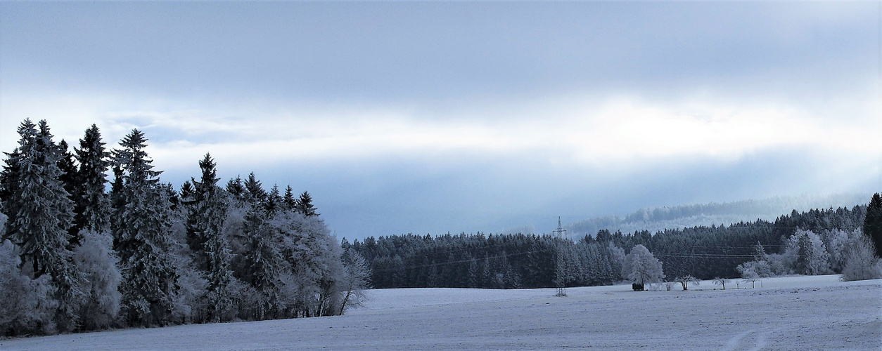 Blick zum sonnenbeschienen Haidberg wo die Magnetnadel "verrückt"spielt