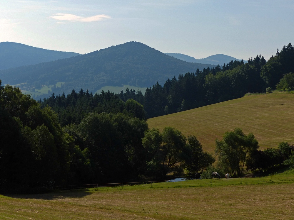 Blick zum Staffelberg