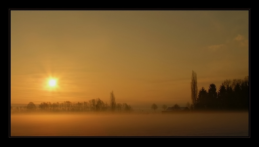 Blick zum Stall