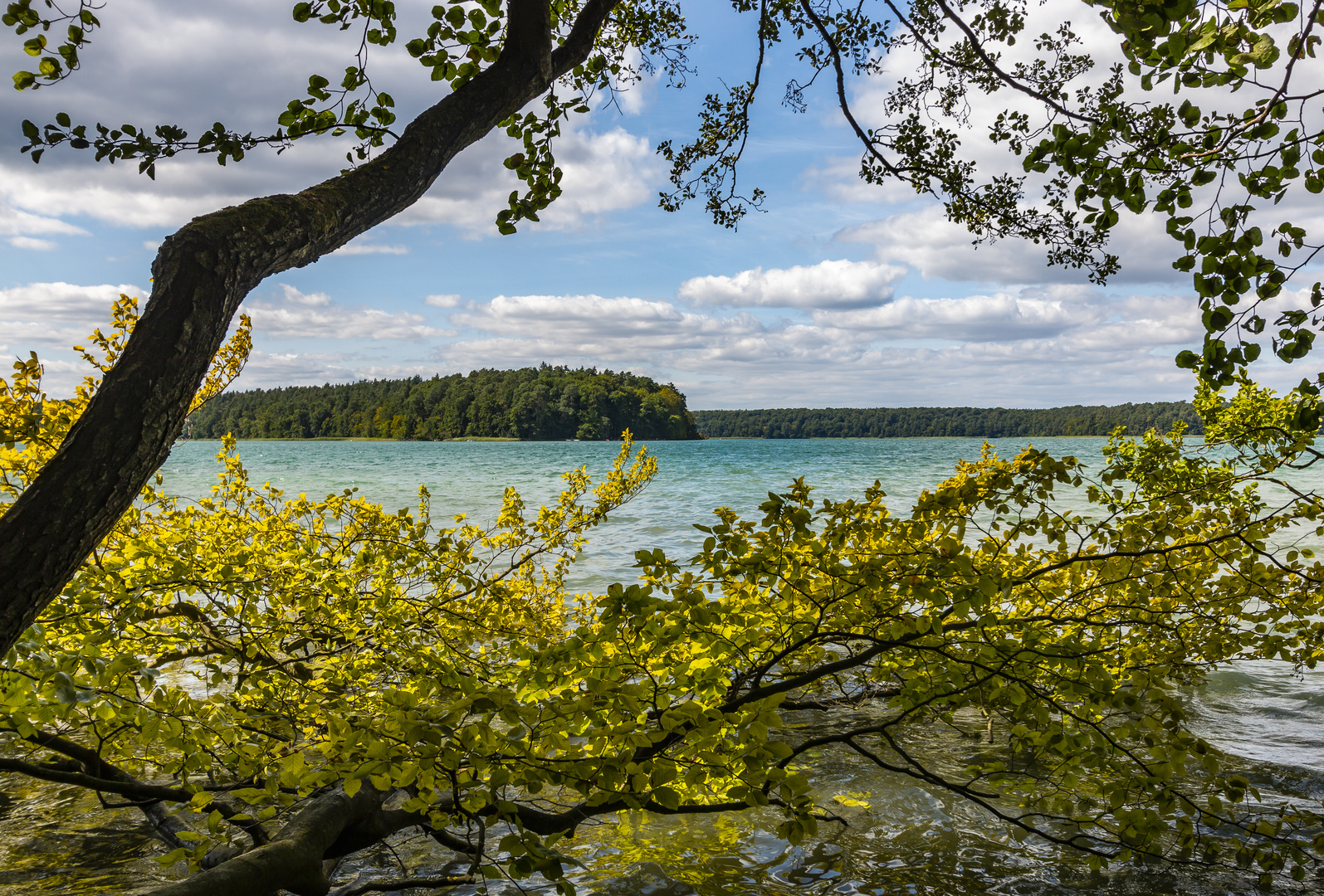 Blick zum Stechlinsee