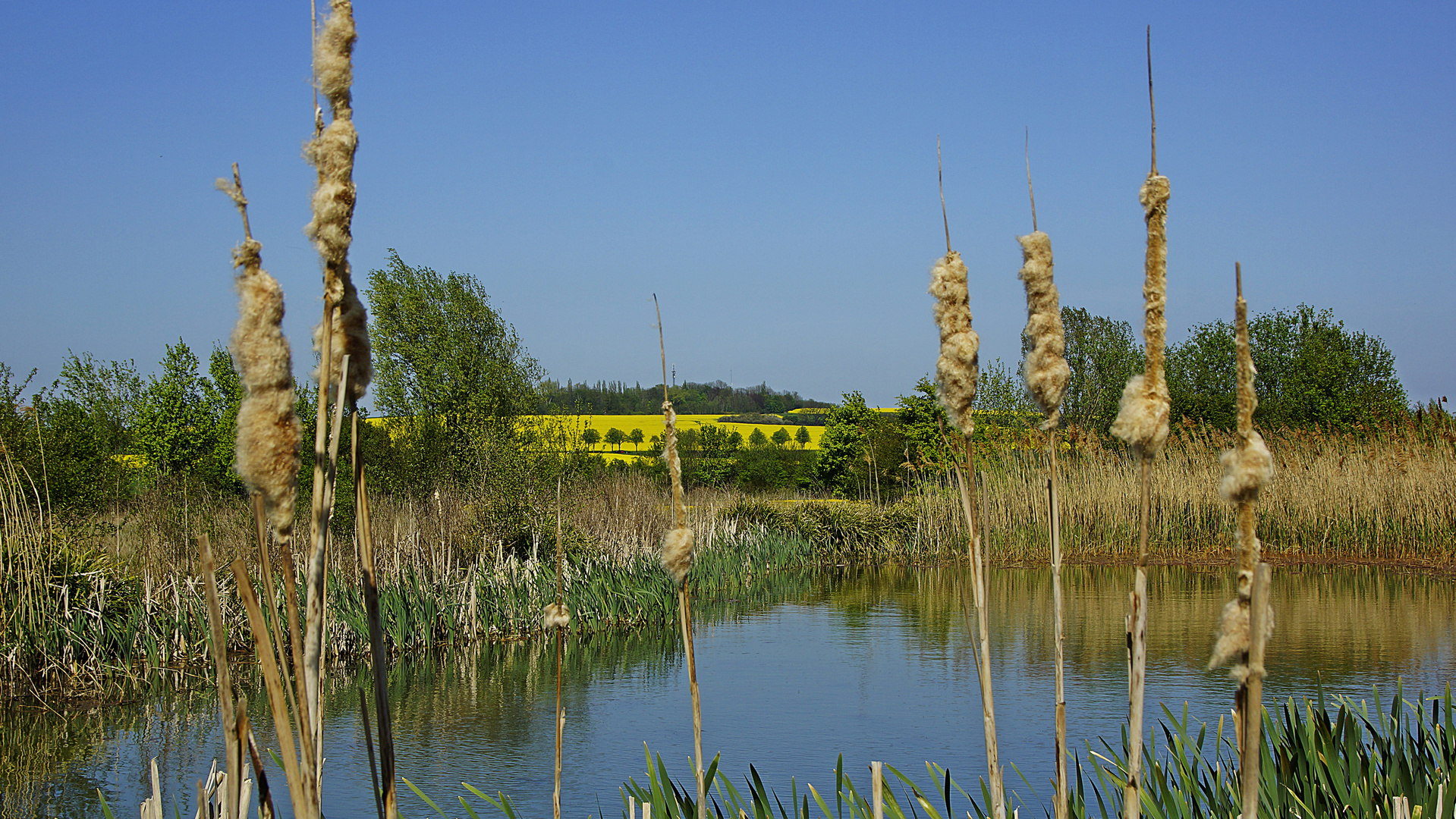  Blick zum Stemmer Berg