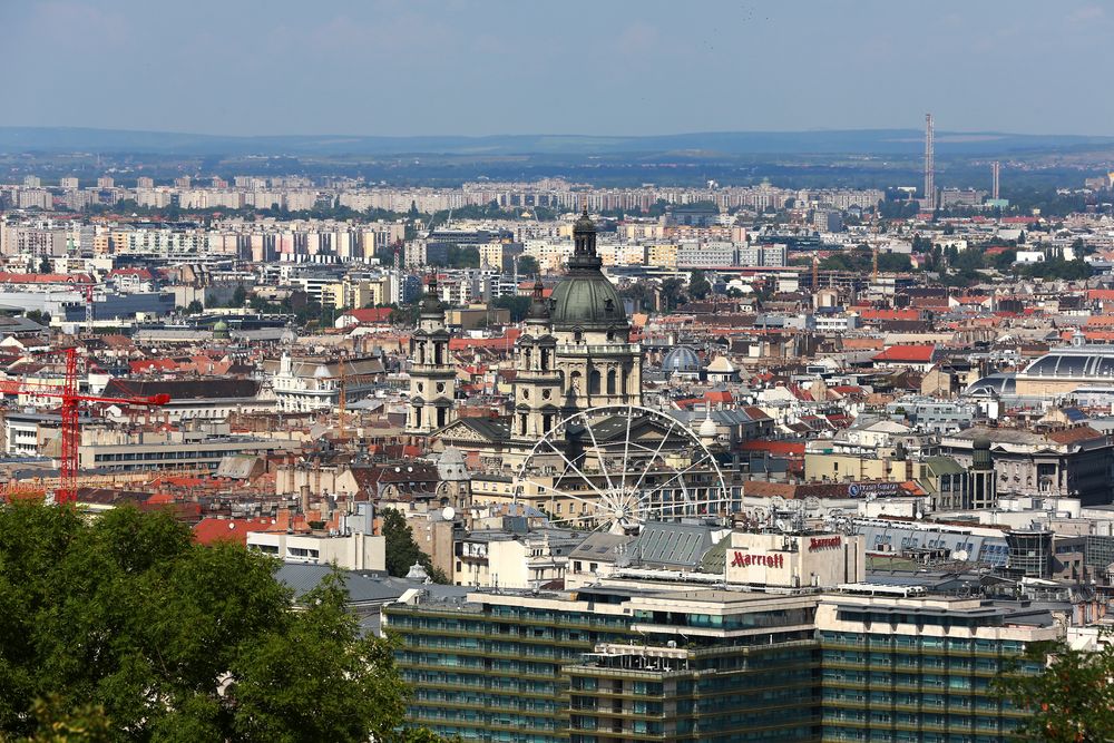 Blick zum Stephansdom