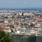 Blick zum Stephansdom