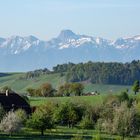 Blick zum Stockhorn...