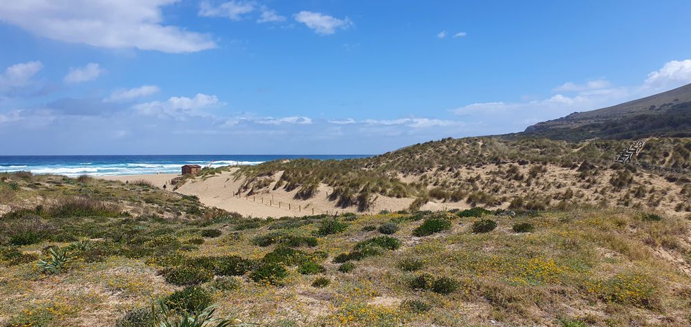 Blick zum Strand in Cala Mesquida