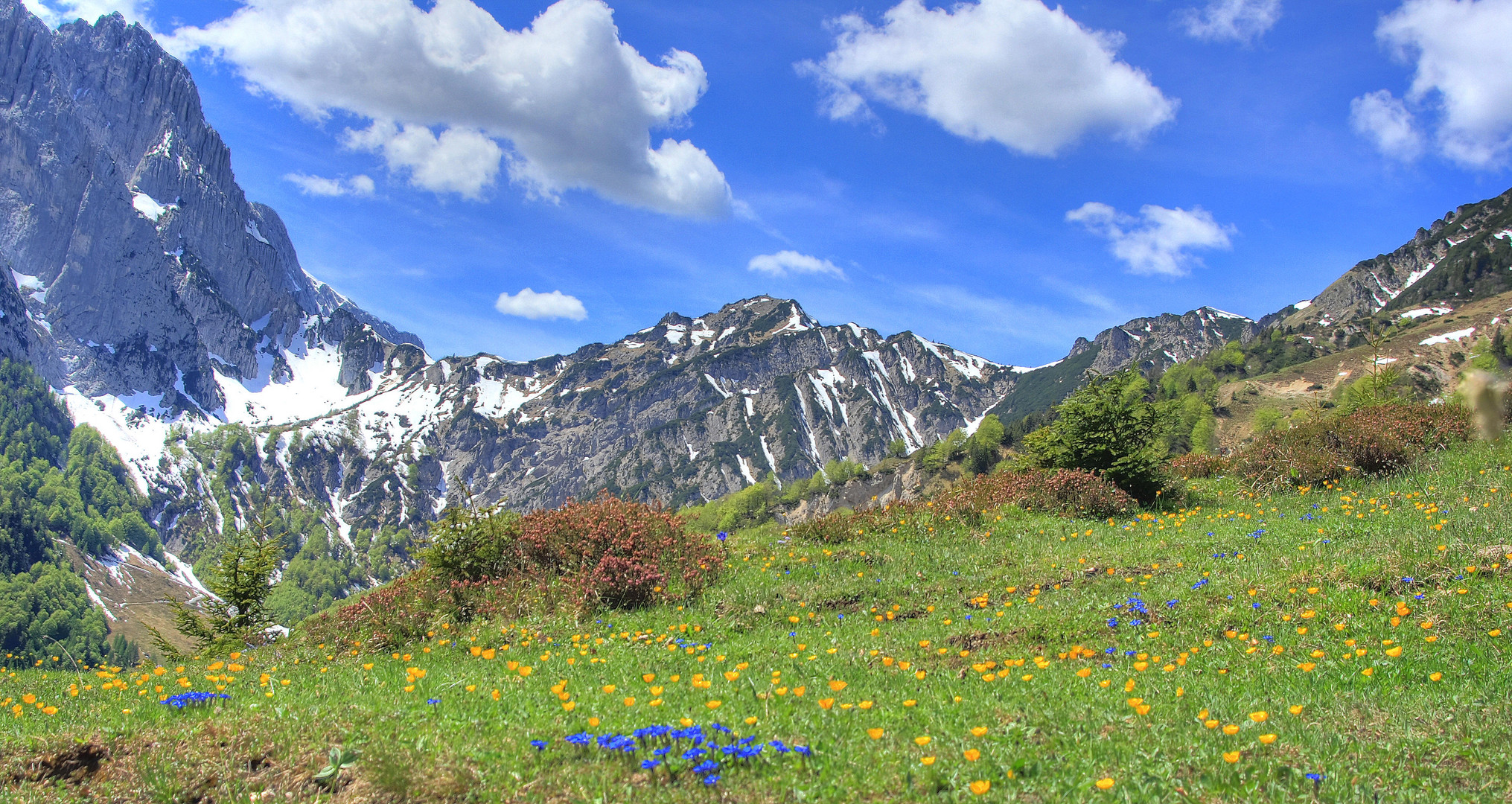 Blick zum Stripsenjoch