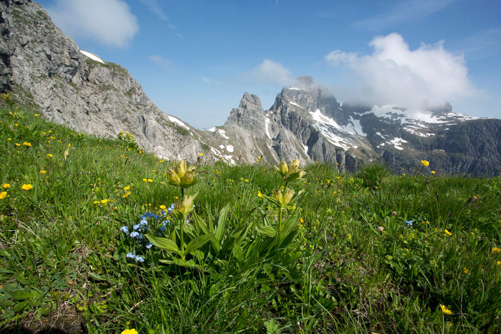 Blick zum Südlichen und Nördlichen Höllhorn