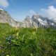 Blick zum Sdlichen und Nrdlichen Hllhorn