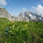 Blick zum Südlichen und Nördlichen Höllhorn