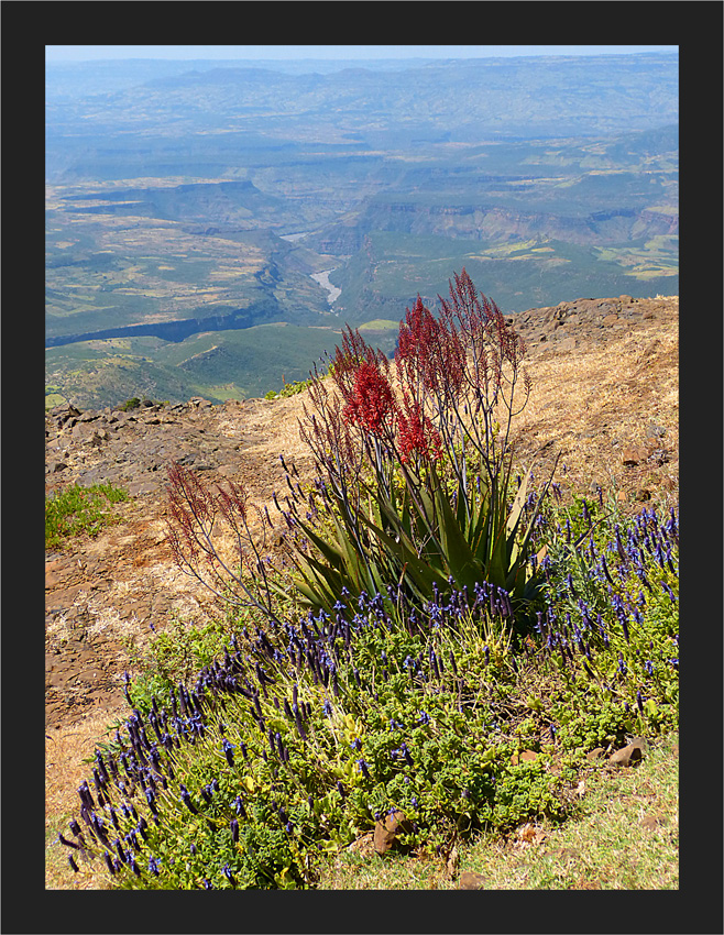 Blick zum Tal des Blauen Nil