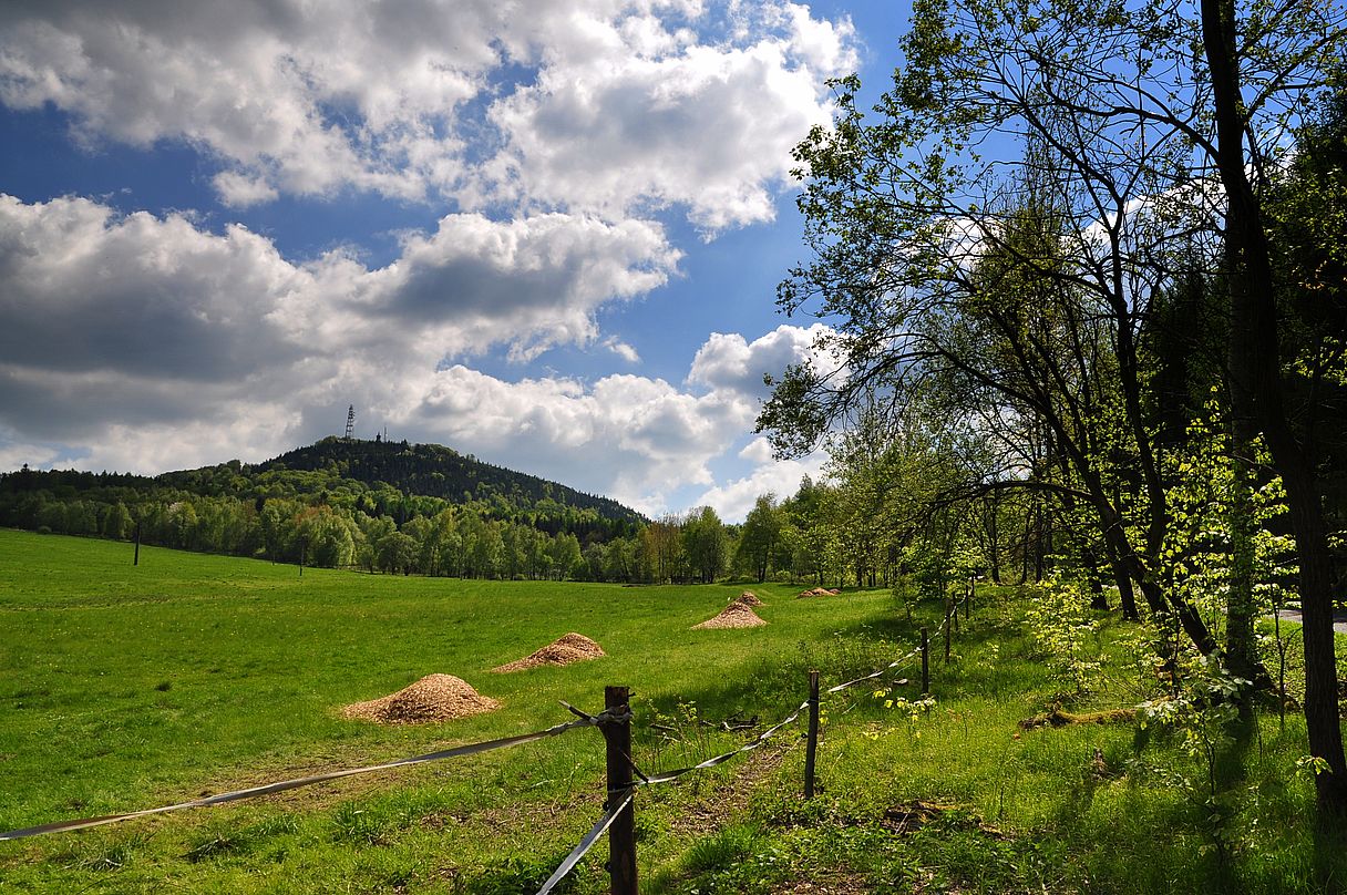 Blick zum Tannenberg