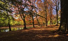 Blick zum Teich