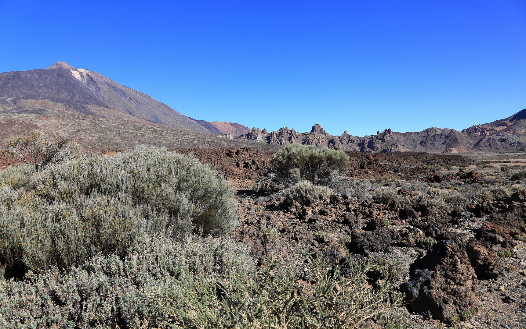 blick zum teide