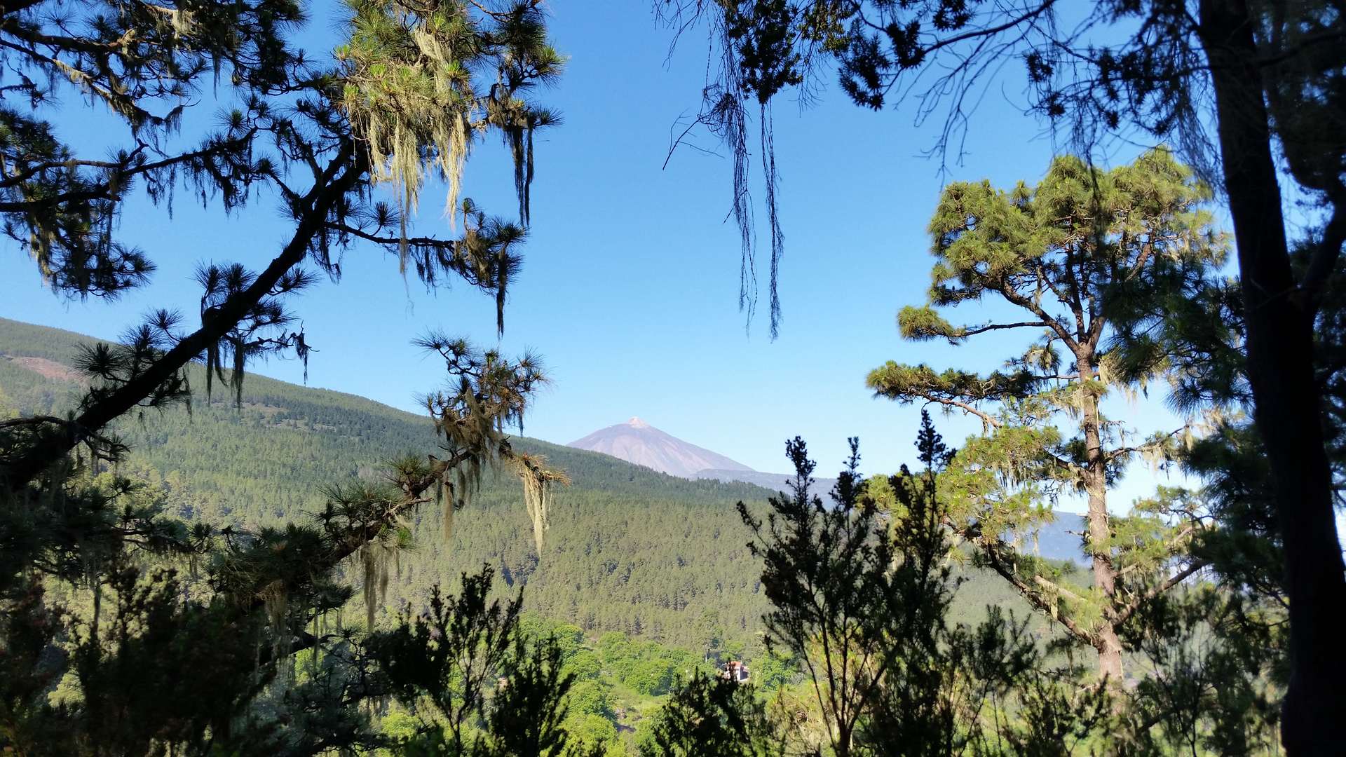 Blick zum Teide