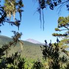 Blick zum Teide