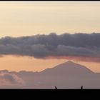 Blick zum Teide