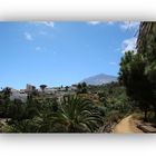 Blick zum Teide