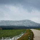 Blick zum TÖPFER | Mittelweg Olbersdorf / Zittau / Sachsen