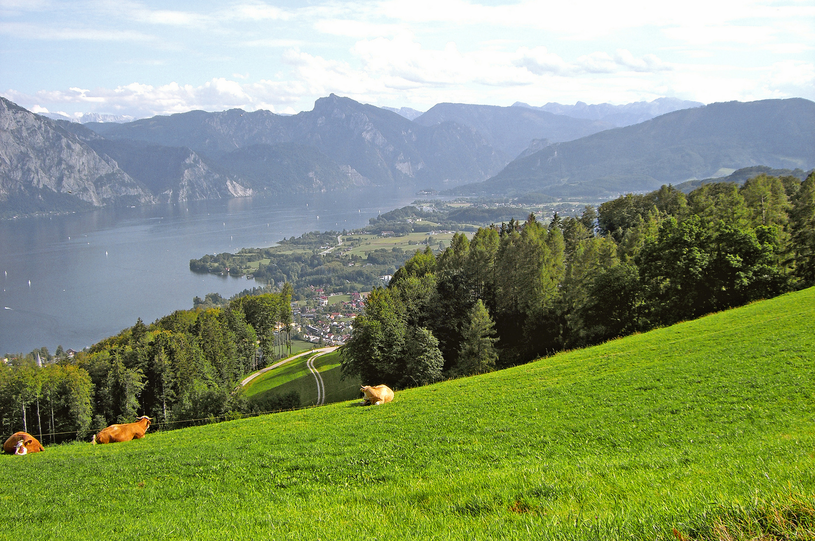 Blick zum Traunsee