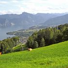 Blick zum Traunsee