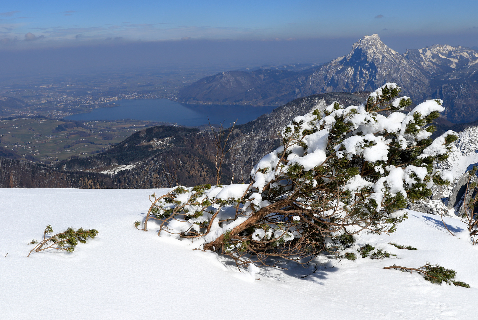 Blick zum Traunstein