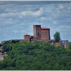 ~ Blick zum Trifels ~