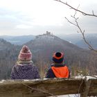 Blick zum Trifels / Pfalz