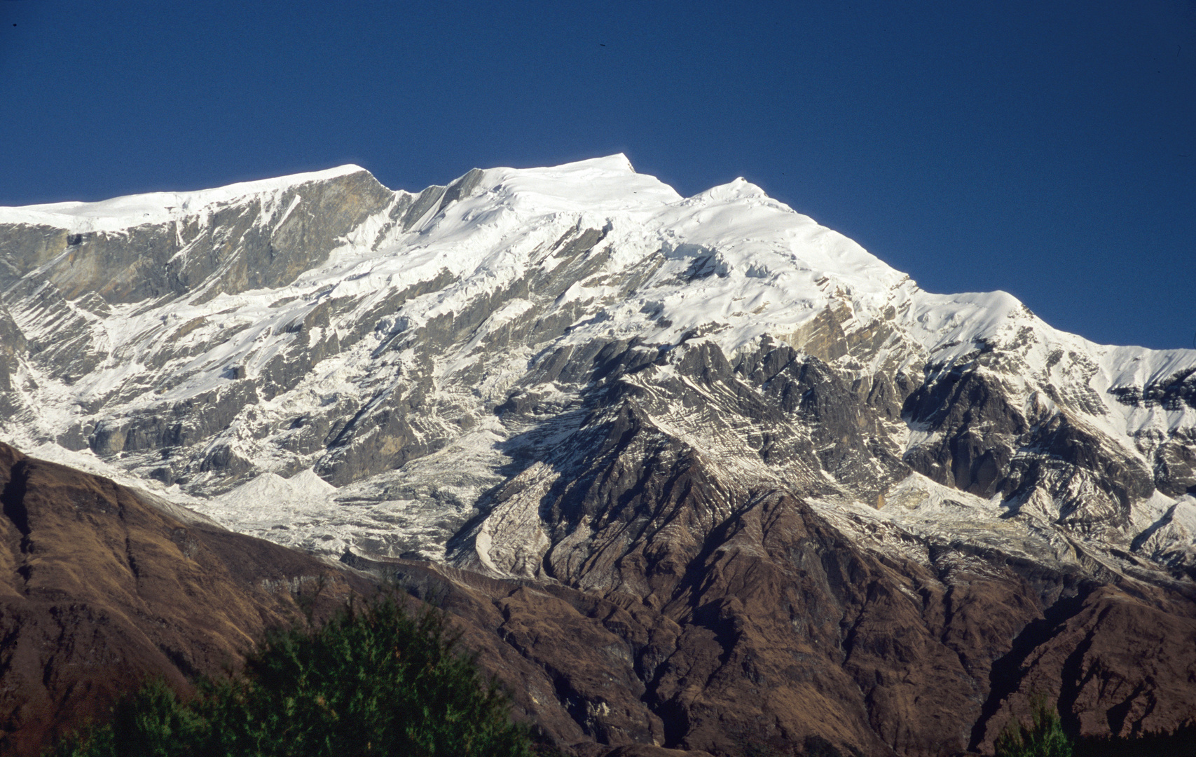 Blick zum Tukuche (6920m)