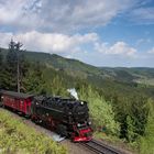 Blick zum Tunnel, bei Drei Annen Hohne, 99 7238, Mai 2013