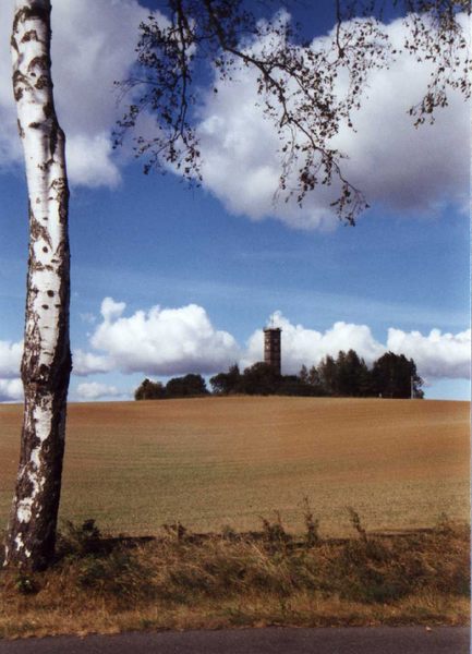 Blick zum Turm